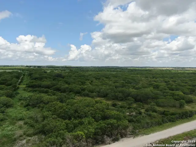 TRACT 7 TBD Cr 208, Hobson, TX 78117 - Image #2