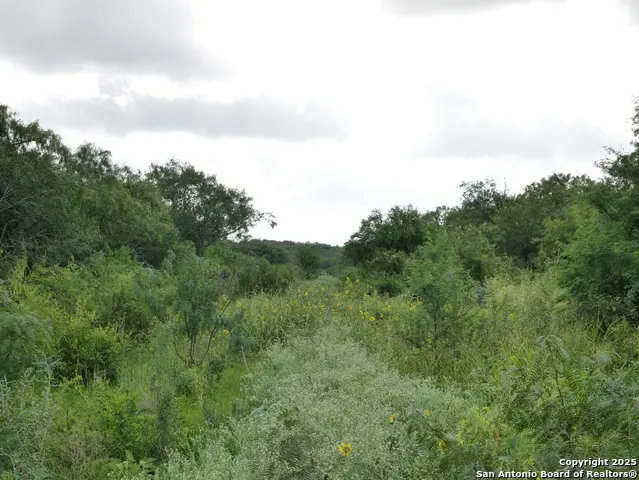 TRACT 7 TBD Cr 208, Hobson, TX 78117 - Image #3