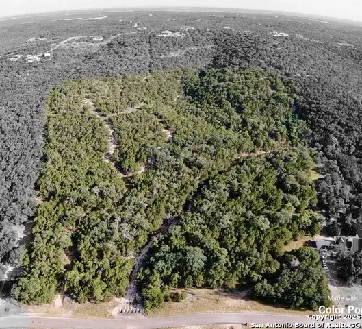 625 County Road 2763, Mico, TX 78056 - Image #3