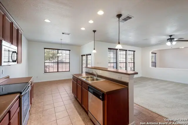 173 Springtree Gate, Cibolo, TX 78108 - Image #2