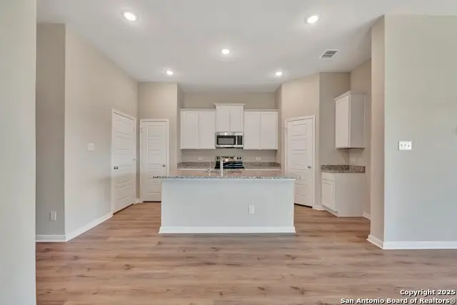 1133 Limestone Ridge, Seguin, TX 78155 - Image #3