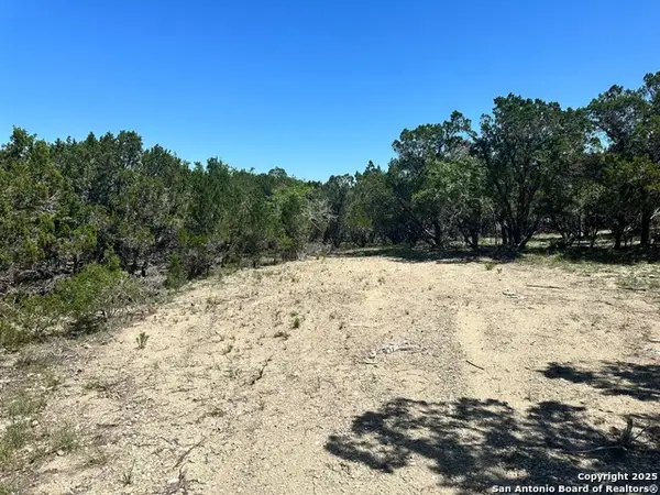 277 Gallagher, Canyon Lake, TX 78133