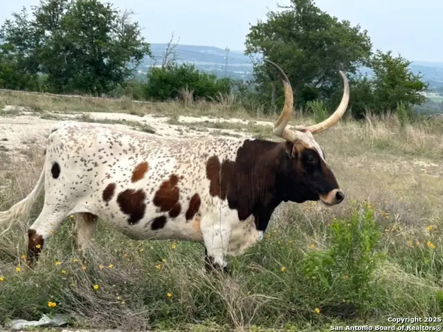 LOT 71 Great Sky Ave., Kerrville, TX 78028 - Image #1