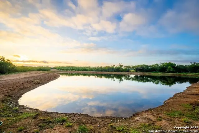 2586 Sandy Elm Rd, La Vernia, TX 78121 - Image #3