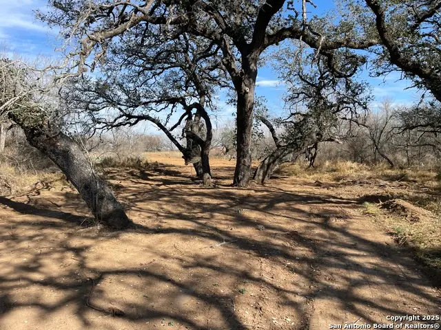 173 Cr 2644, Moore, TX 78057 - Image #3