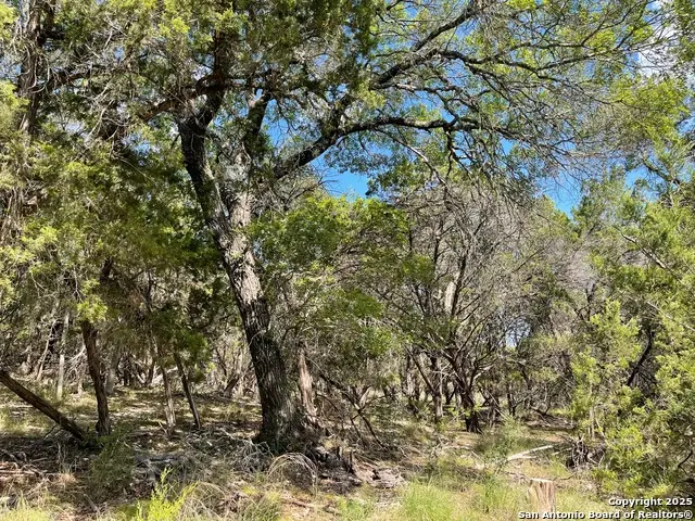 LOTS 1-7 Park Road 37, Lakehills, TX 78063 - Image #1