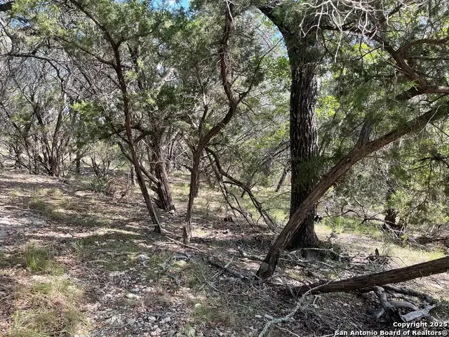 LOTS 1-7 Park Road 37, Lakehills, TX 78063 - Image #2