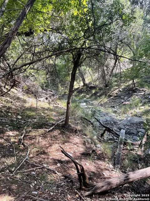 LOTS 1-7 Park Road 37, Lakehills, TX 78063 - Image #3