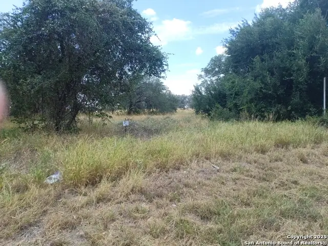 000 Sh 16 & Ditto Rd, Poteet, TX 78065 - Image #1