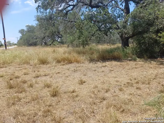 000 Sh 16 & Ditto Rd, Poteet, TX 78065 - Image #2