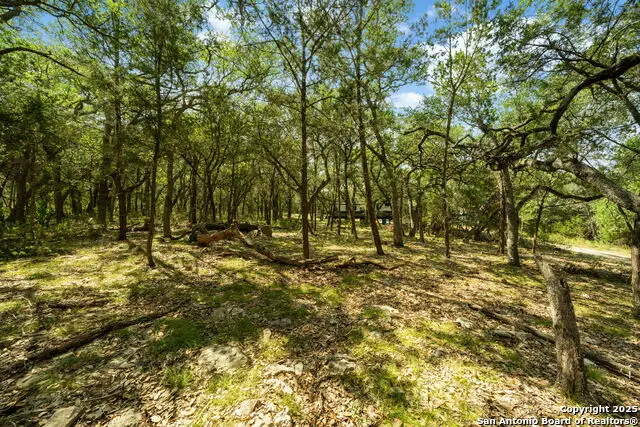1775 Lost Trl, New Braunfels, TX 78132 - Image #3