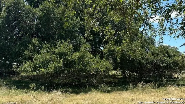 7 Bottle Springs Rd, Bandera, TX 78003 - Image #2