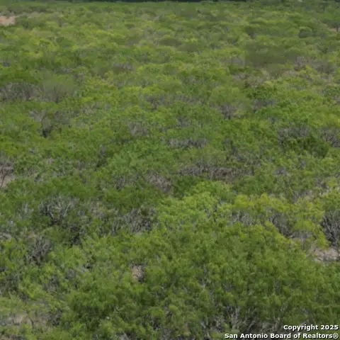 0 Fm 2049, Three Rivers, TX 78071 - Image #2