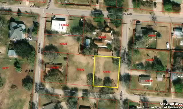 00 Curtis, Devine, TX 78016 - Image #2