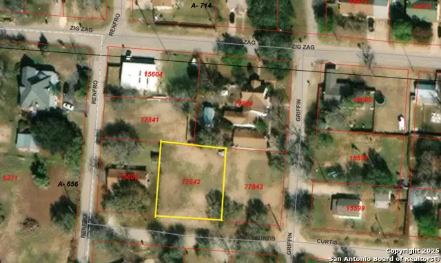 704 Curtis, Devine, TX 78016 - Image #2