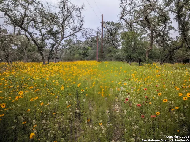 TBD County Road 6813, Natalia, TX 78059 - Image #1