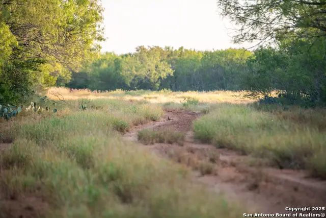 000 E Hwy 16, Jourdanton, TX 78026 - Image #1