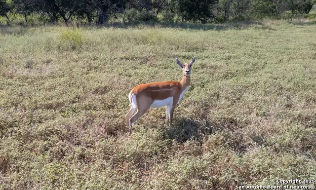 1 Utopia Forest, Dhanis, TX 78850 - Image #1