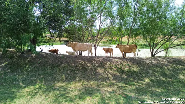 16587 S Loop 1604 W, Von Ormy, TX 78073 - Image #3