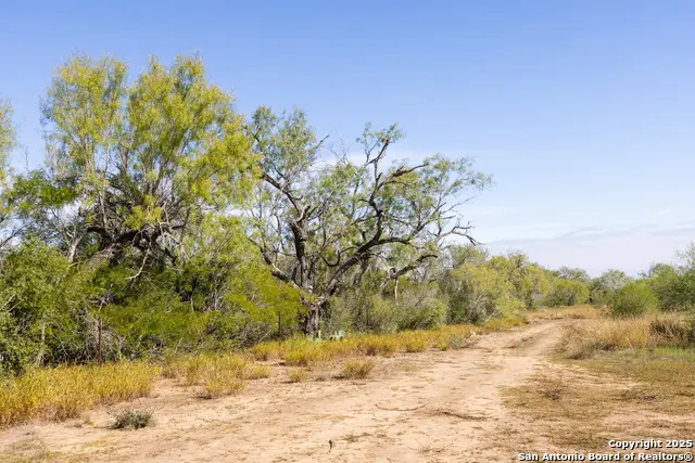 10 FM 1581, Pearsall, TX 78061 - #1