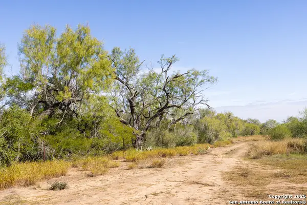 10 FM 1581, Pearsall, TX 78061