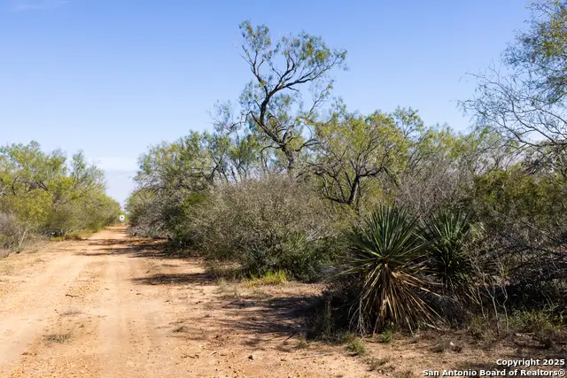 10 FM 1581, Pearsall, TX 78061 - #3