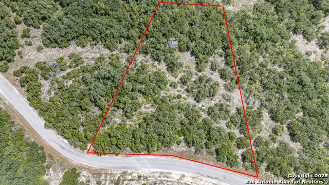 0-TBD LOT 149 County Road 2801, Mico, TX 78056 - Image #3