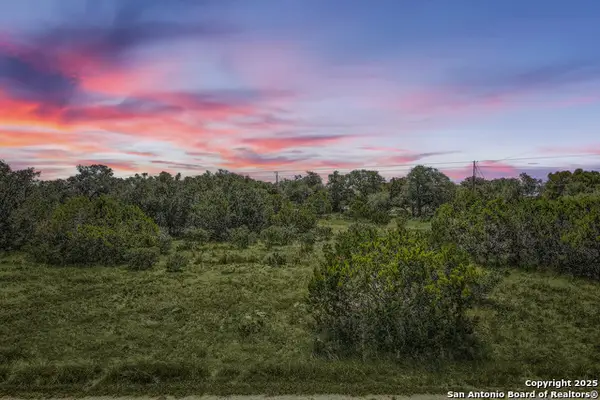 543 Rayner Ranch Blvd, Spring Branch, TX 78070