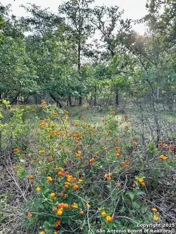 1680 Maldonado, La Vernia, TX 78121 - Image #2