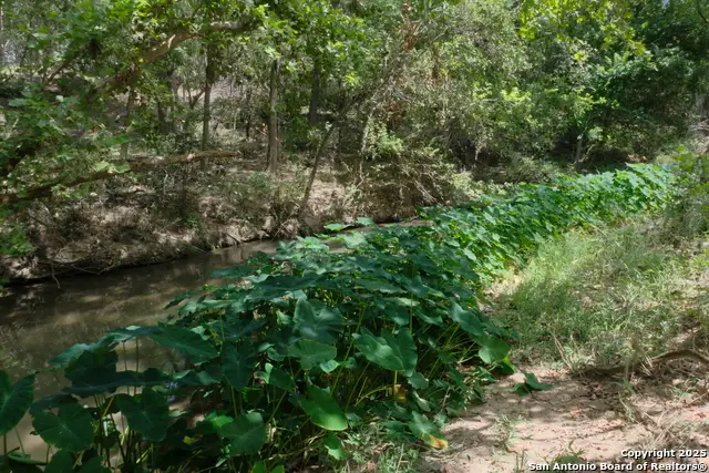 17585 Fargoer, Marion, TX 78124 - Image #2