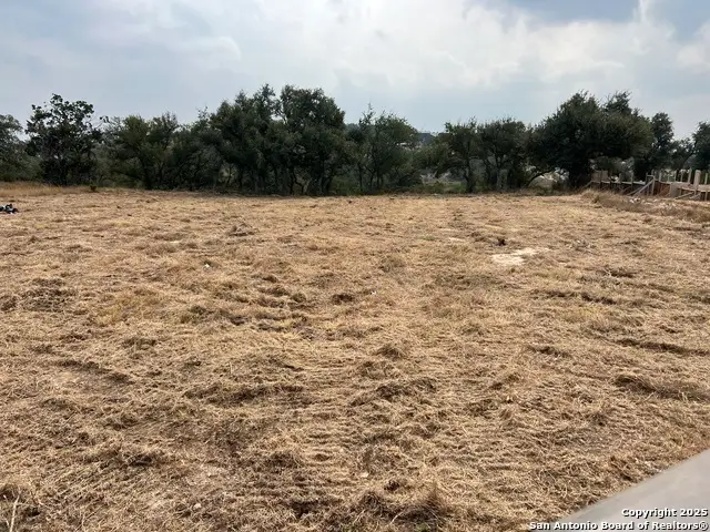 667 Butler Oaks, Bulverde, TX 78163 - Image #2