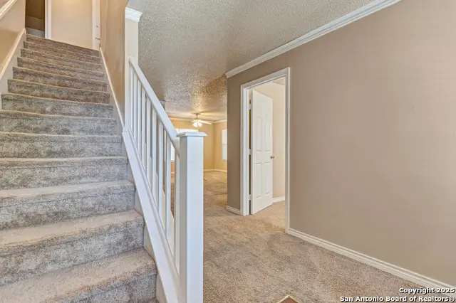 8103 Grimchester, Converse, TX 78109 - Image #2