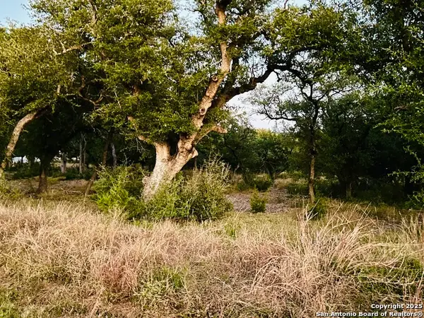 1025 Earle Oak, Bulverde, TX 78163