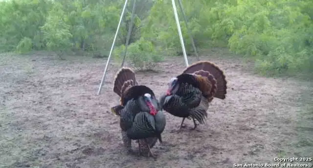 00 King Lane, Beeville, TX 78102 - Image #3