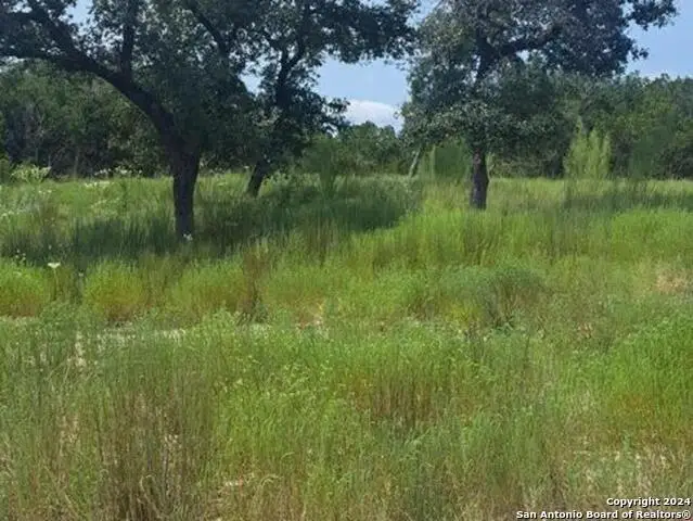 1064 Ken Wayne, Spring Branch, TX 78070 - Image #2