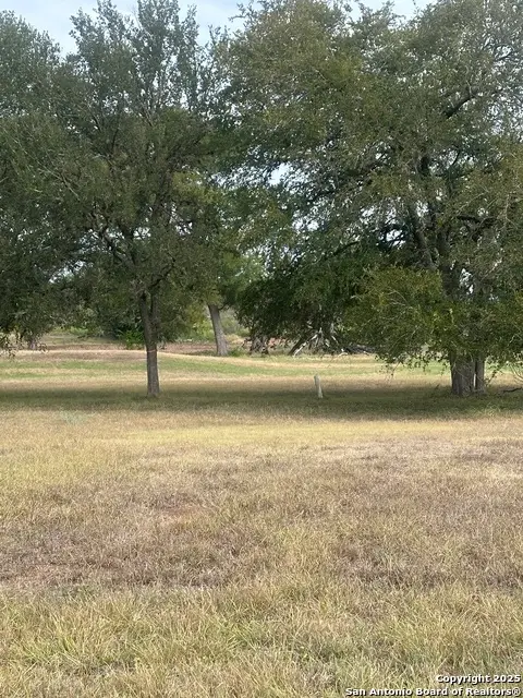 TBD Fm 725, Seguin, TX 78155 - Image #1