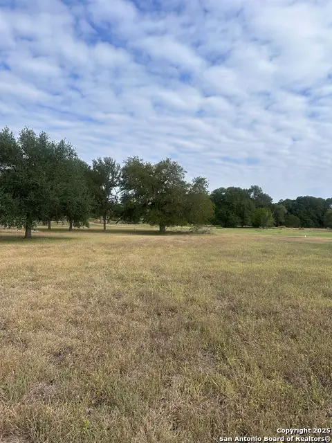 TBD Fm 725, Seguin, TX 78155 - Image #2