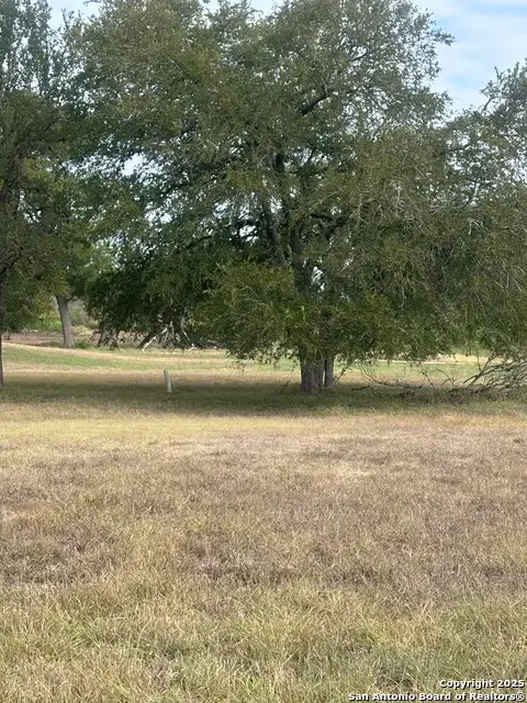 TBD Fm 725, Seguin, TX 78155 - Image #3