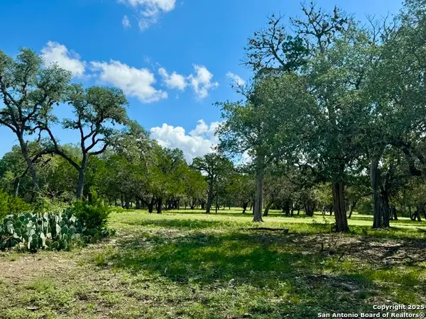 101 Patterson, Leakey, TX 78873
