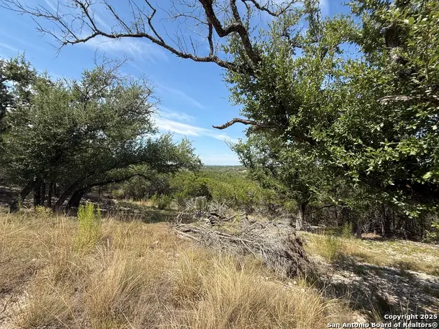 640 Crossman, Fischer, TX 78623 - #3