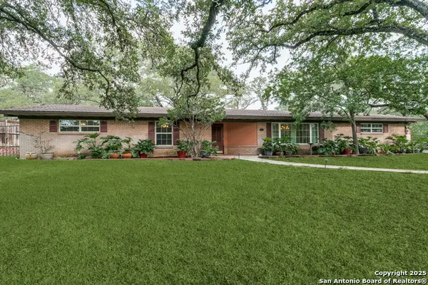 211 Caladium, Castle Hills, TX 78213