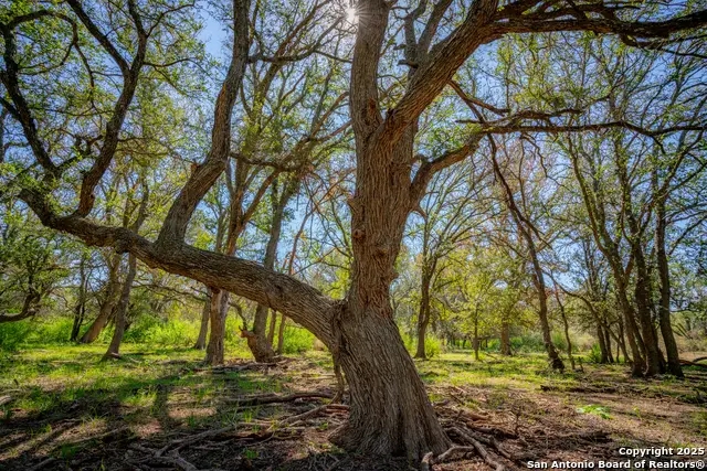 0 Sh 16, San Saba, TX 76877 - Image #1