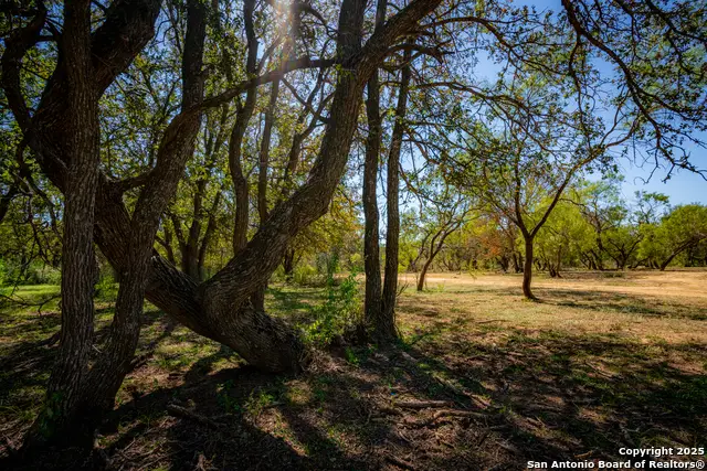0 Sh 16, San Saba, TX 76877 - Image #3