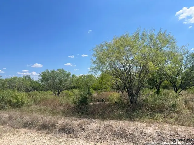 760 Cr 200, Three Rivers, TX 78071 - #1