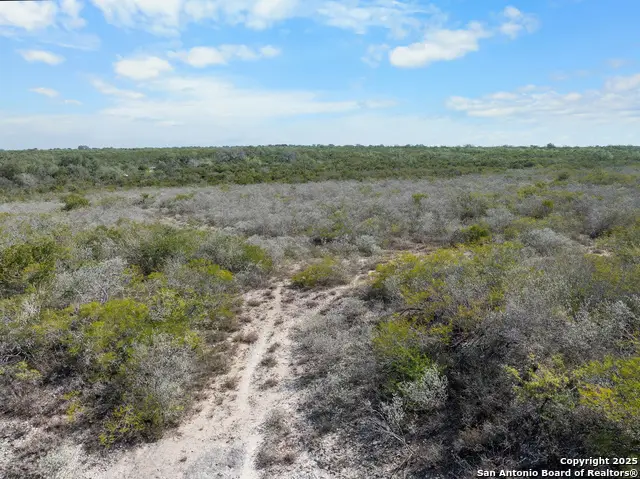 TBD County Road 343, George West, TX 78022 - Image #3