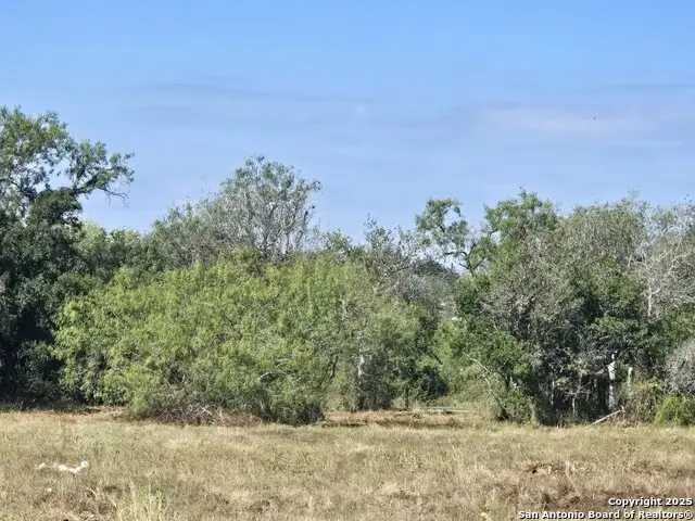 TBD W Randall, Beeville, TX 78102 - #2