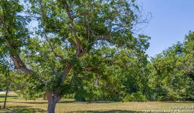 8 E Hampton Dr, Seguin, TX 78155 - #3