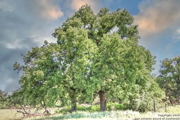 TBD Rm 1323, Willow City, TX 78675