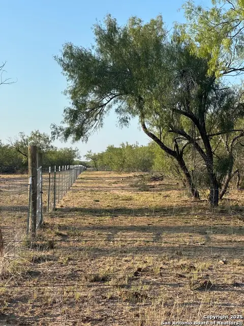 992 Jordan, Encinal, TX 78019 - Image #3