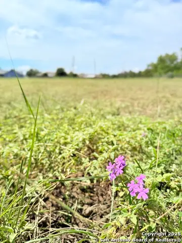 TBD Nakomis Dr, Bandera, TX 78003 - Image #3